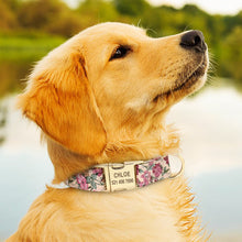 Charger l'image dans la galerie, Ensemble Collier + Laisse personnalisable - Le bonheur du Chien