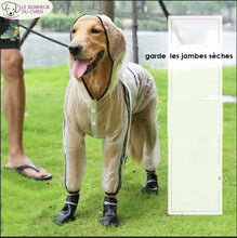 Charger l'image dans la galerie, Manteau imperméable et transparent - Le bonheur du Chien