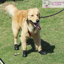 Charger l'image dans la galerie, Chaussure réfléchissante Paw-Hund - Le bonheur du Chien