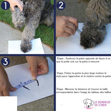 Charger l'image dans la galerie, Chaussure de Promenade Truelove - Le bonheur du Chien