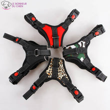 Charger l'image dans la galerie, Harnais américain - Le bonheur du Chien