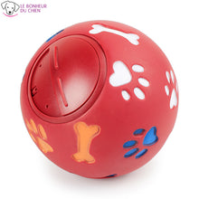 Charger l'image dans la galerie, Ballon dispatcheur - Le bonheur du Chien