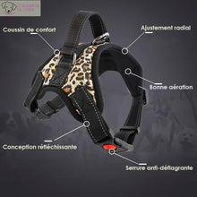 Charger l'image dans la galerie, Harnais américain - Le bonheur du Chien