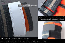 Charger l'image dans la galerie, Chaussure de Promenade Truelove - Le bonheur du Chien