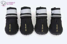 Charger l'image dans la galerie, Chaussure de Promenade Truelove - Le bonheur du Chien