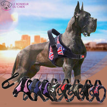 Charger l'image dans la galerie, Harnais américain - Le bonheur du Chien