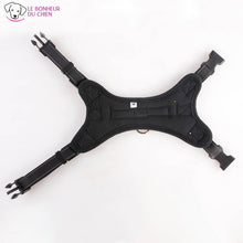 Charger l'image dans la galerie, Harnais américain - Le bonheur du Chien