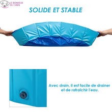 Charger l'image dans la galerie, Piscine pliable Skyred - Le bonheur du Chien