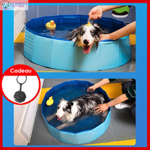 Charger l'image dans la galerie, Piscine pliable Skyred - Le bonheur du Chien