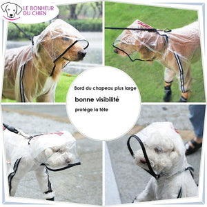 Manteau imperméable et transparent - Le bonheur du Chien