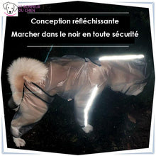 Charger l&#39;image dans la galerie, Manteau imperméable et transparent - Le bonheur du Chien
