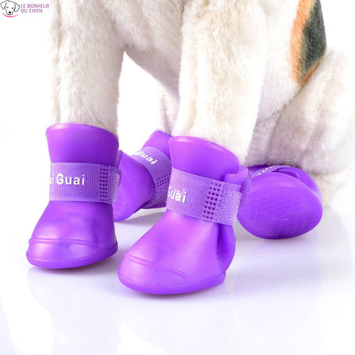 Chaussures All-Time imperméables - Le bonheur du Chien