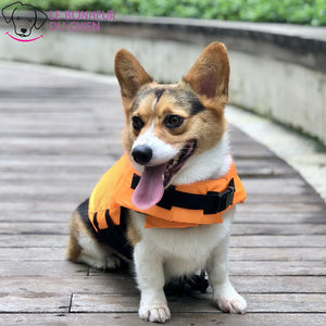 Sharkjack - Gilet de natation réglable pour chien en forme de requin - Le bonheur du Chien