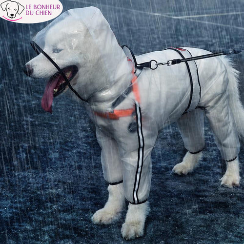 Manteau imperméable et transparent - Le bonheur du Chien