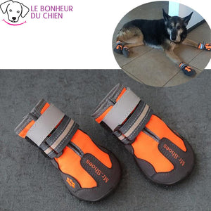 Chaussure de Promenade Truelove - Le bonheur du Chien