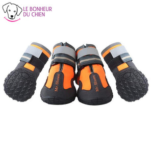 Chaussure de Promenade Truelove - Le bonheur du Chien