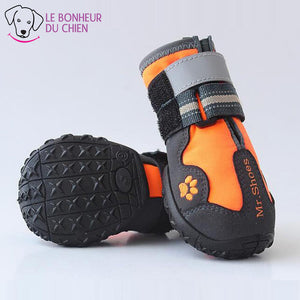 Chaussure de Promenade Truelove - Le bonheur du Chien