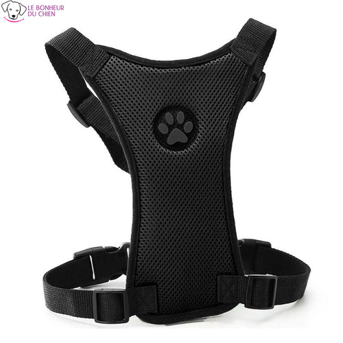 Simple Way Kit de toilettage sous vide pour chien pour la perte de poils Simple Way Kit de toilettage sous vide pour chien pour la perte de poils