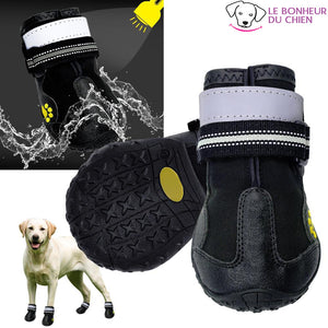 Chaussure réfléchissante Paw-Hund - Le bonheur du Chien