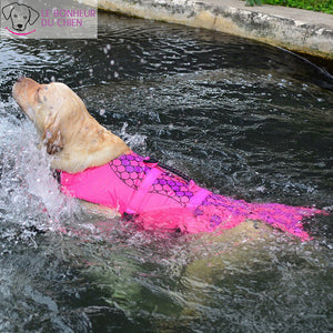 Swimshark - Gilet d'été de natation - Le bonheur du Chien