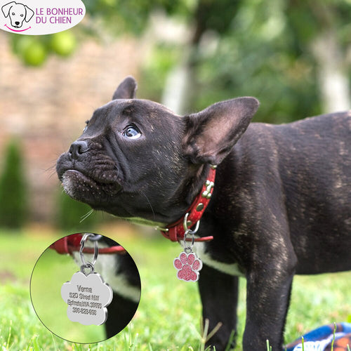 Paw-Pendentif personnalisable - Le bonheur du Chien