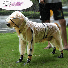 Charger l&#39;image dans la galerie, Manteau imperméable et transparent - Le bonheur du Chien
