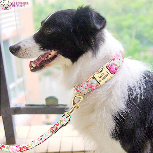 Ensemble Collier + Laisse personnalisable - Le bonheur du Chien