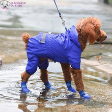 Charger l&#39;image dans la galerie, Chaussures All-Time imperméables - Le bonheur du Chien
