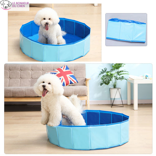 Piscine pliable Skyred - Le bonheur du Chien